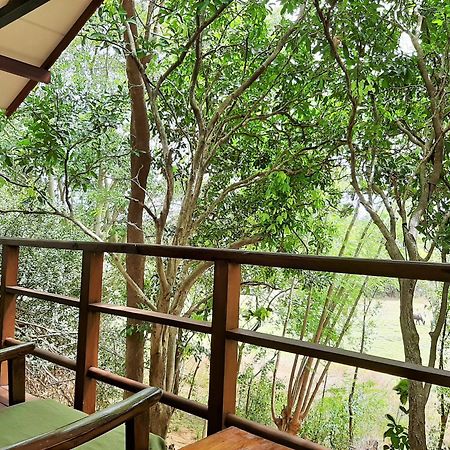 Elephant Lodge 达瓦拉维 外观 照片