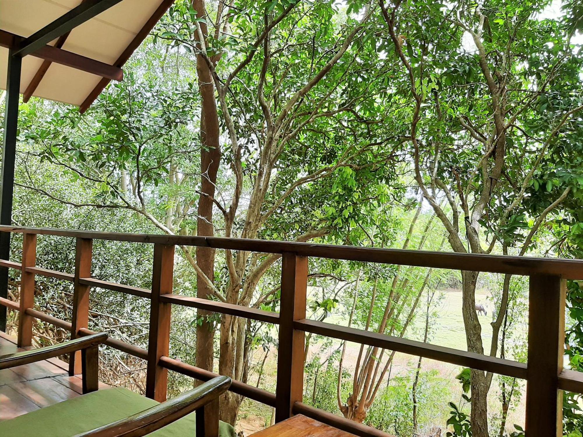 Elephant Lodge 达瓦拉维 外观 照片