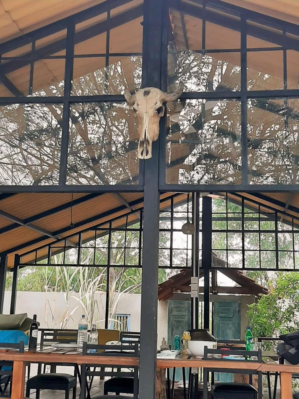 Elephant Lodge 达瓦拉维 外观 照片