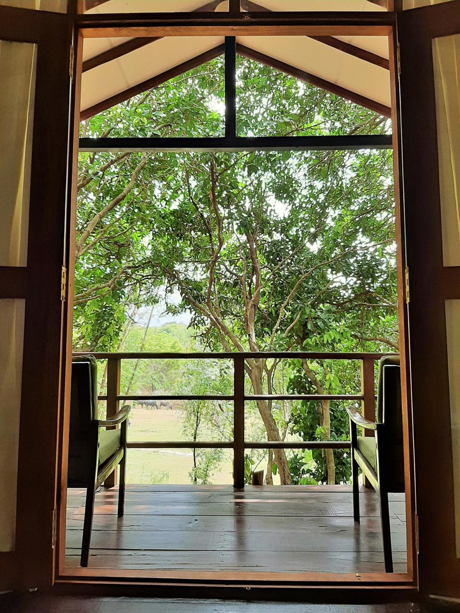 Elephant Lodge 达瓦拉维 外观 照片