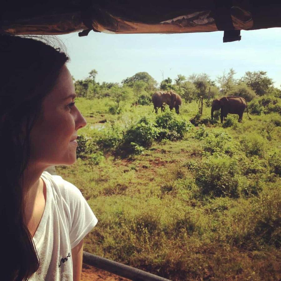 Elephant Lodge 达瓦拉维 外观 照片